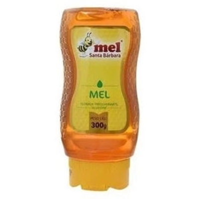 MEL BISNAGA SILVESTRE 300G STA BAR