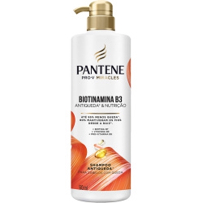 Sh. pantene biotinamina b3 antiq 510ml
